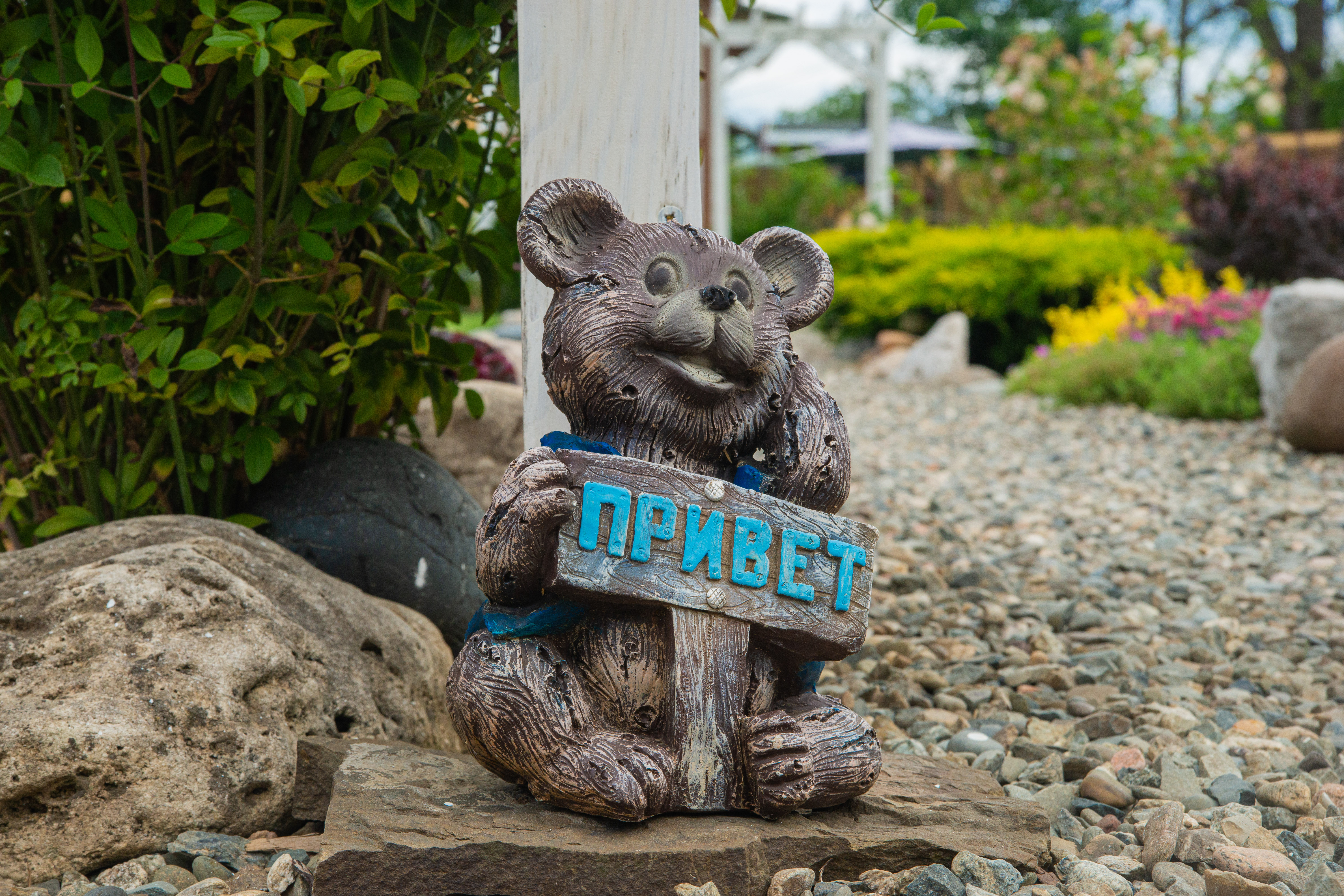 Территория